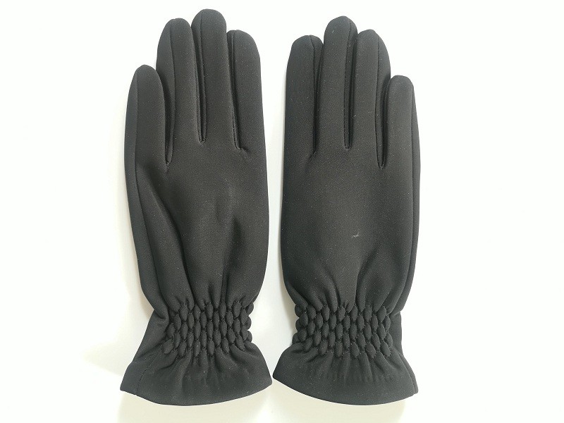 lady‘s   fashion  gloves’